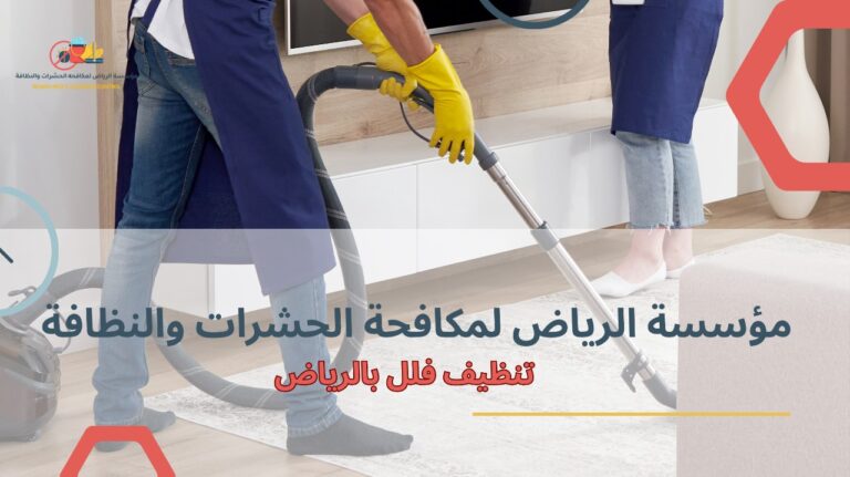 تنظيف فلل بالرياض