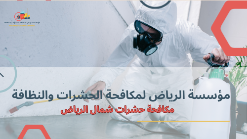 دليل شامل لمكافحة حشرات شمال الرياض