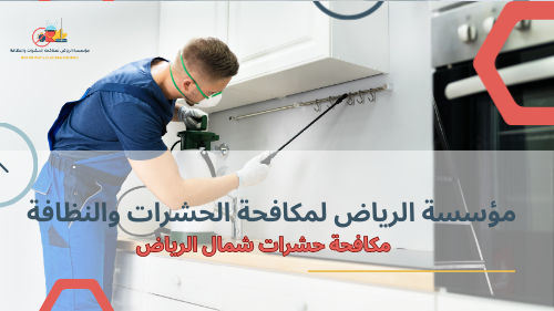 أفضل طرق مكافحة حشرات شمال الرياض