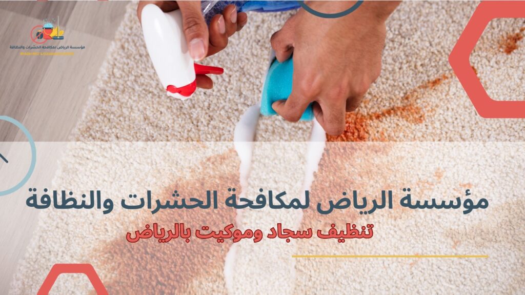 تنظيف سجاد وموكيت بالرياض