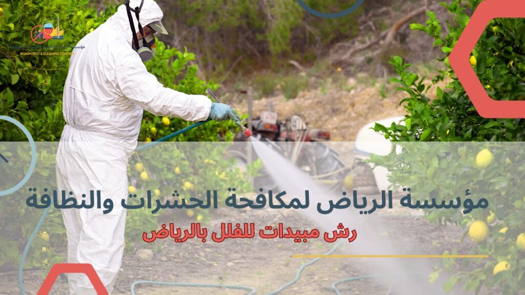 أخطاء شائعة تحدث عند رش مبيدات للفلل بالرياض