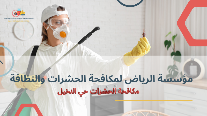 مكافحة الحشرات حي النخيل لضمان بيئة نظيفة وصحية