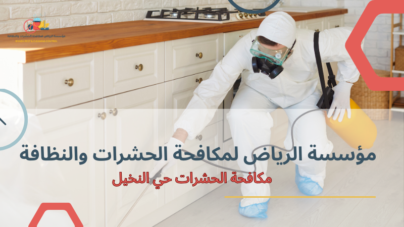 نصائح مهمة لمكافحة الحشرات حي النخيل لضمان بيئة صحية ونظيفة