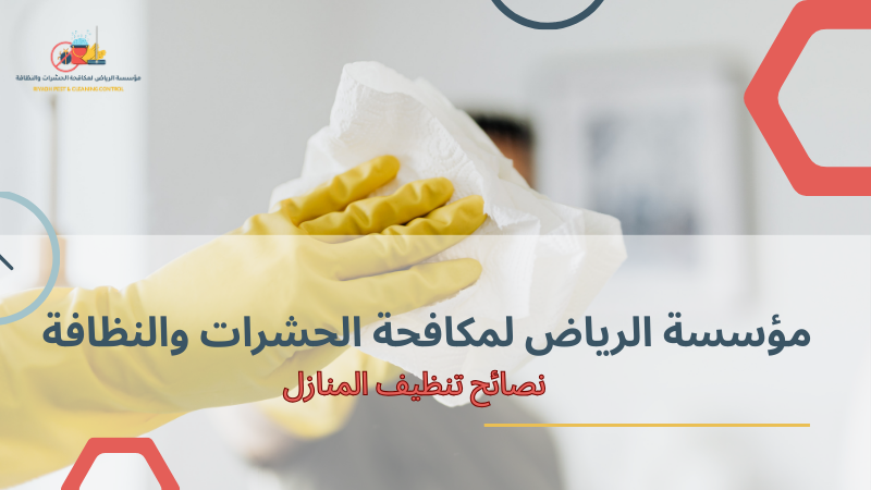 نصائح تنظيف المنازل لتجنب تجمع الغبار والحشرات