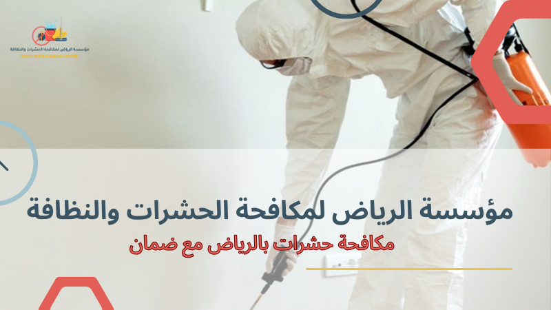 نصائح مكافحة حشرات بالرياض مع ضمان