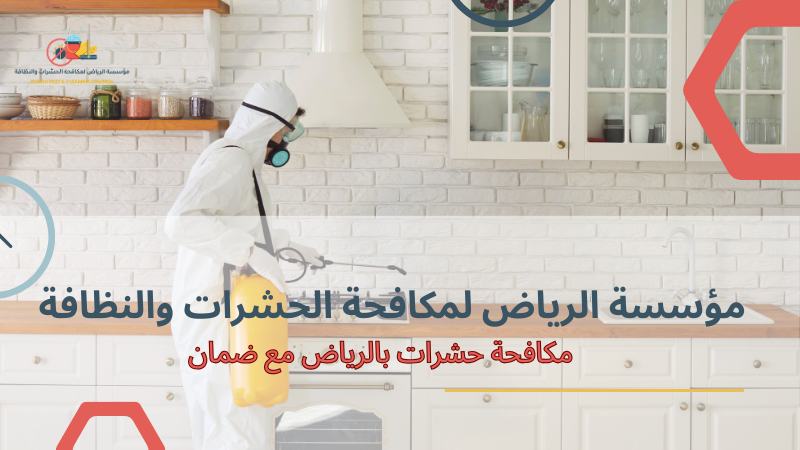 أخطاء شائعة عند مكافحة حشرات بالرياض مع ضمان