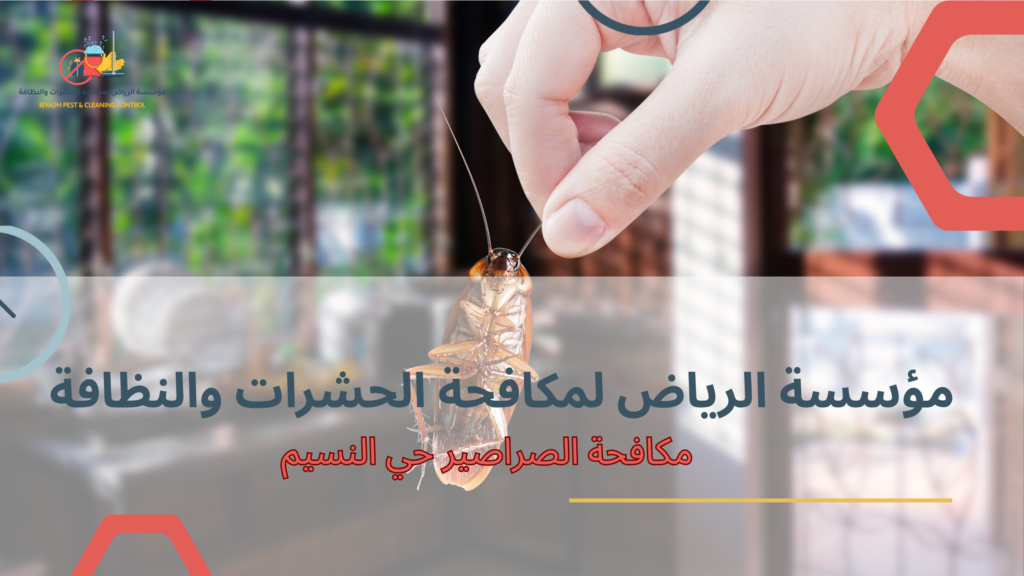 أهمية الاستعانة بشركة متخصصة في مكافحة الصراصير حي النسيم