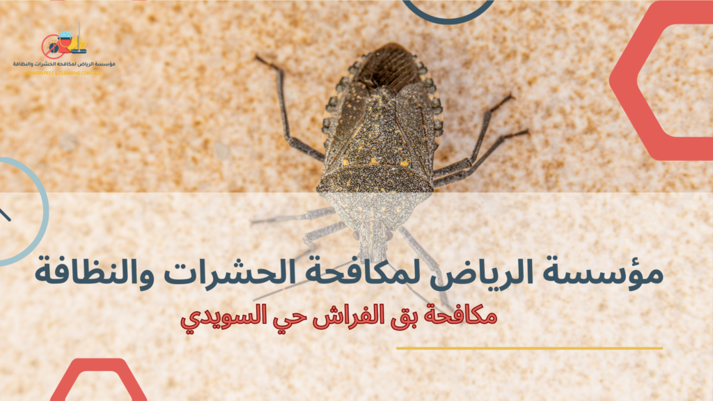 أسباب وخطورة بق الفراش ولماذا يجب القضاء عليه