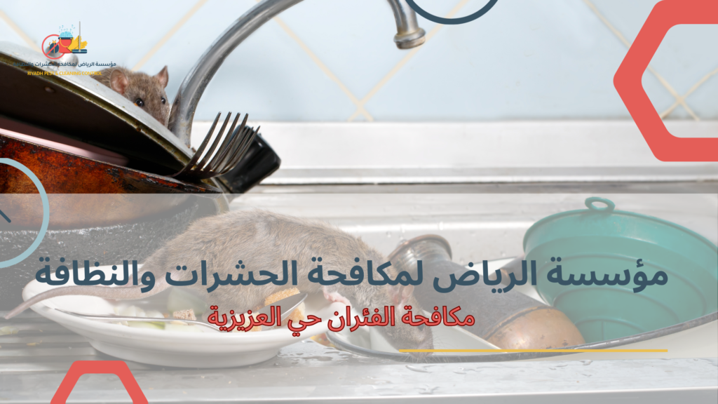 أنواع مكافحة الفئران والاختلافات بينها