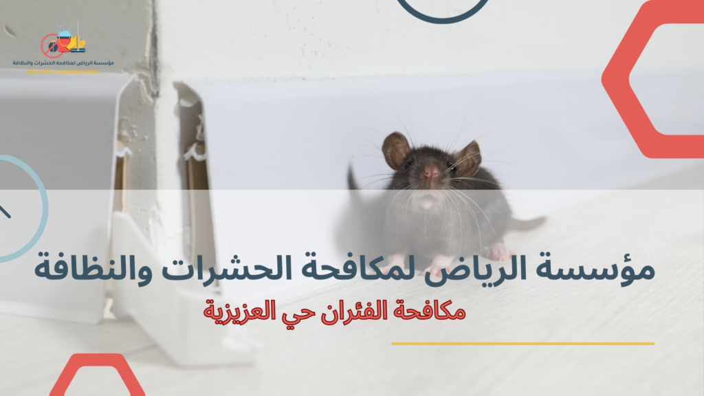 الأخطاء الشائعة التي يقع فيها المستخدمون