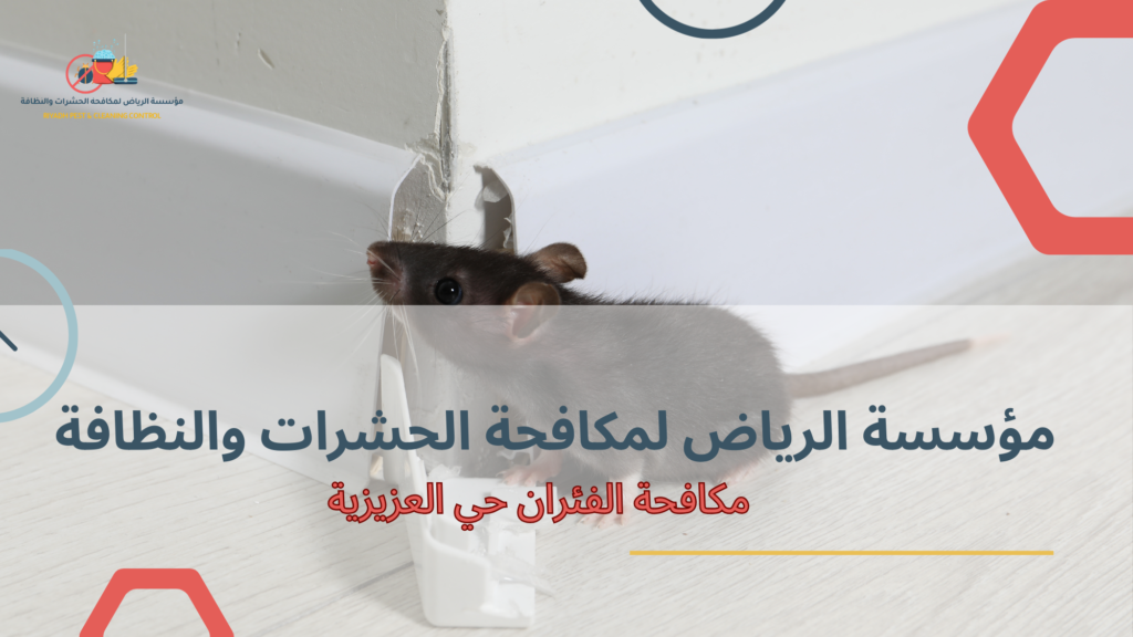 نصائح عملية قبل وبعد التنفيذ