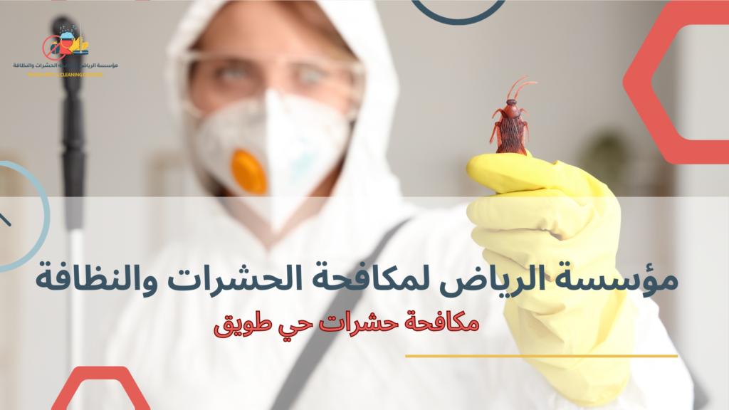 أهمية مكافحة الحشرات في حماية المنزل والأسرة