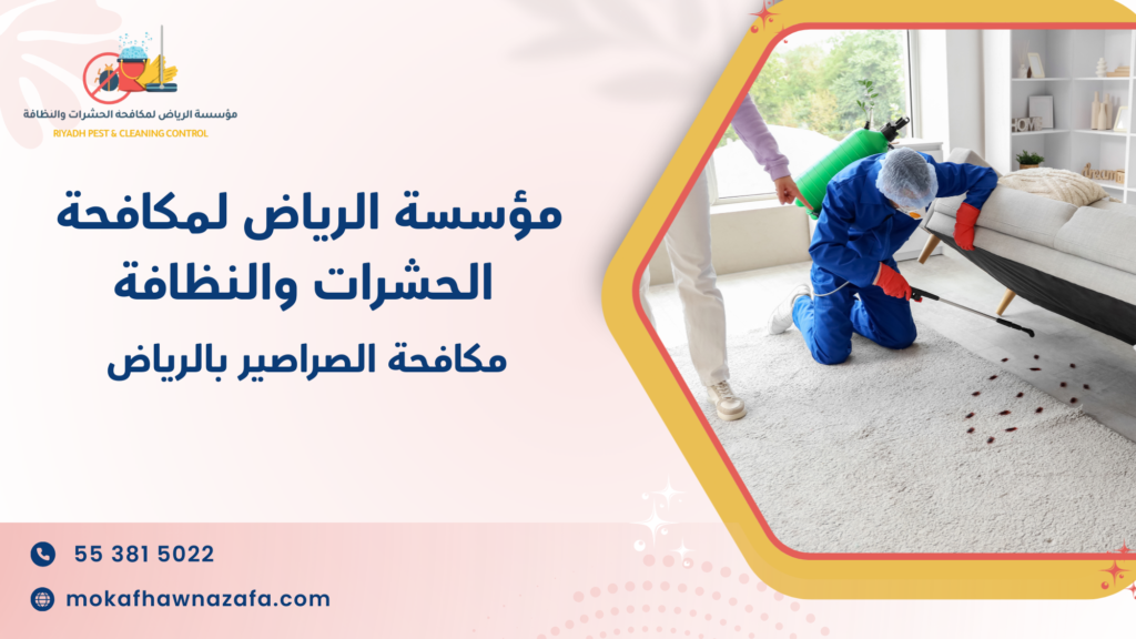 هل ظهور الصراصير في منزلك مؤشر بسيط أم إنذار بوجود بؤرة خفية