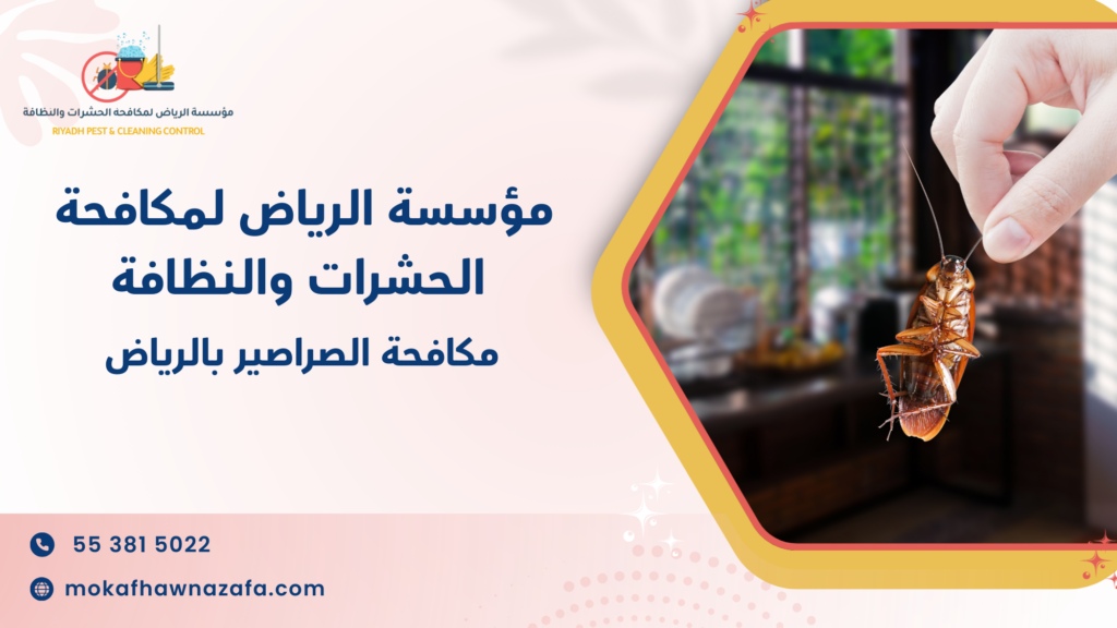 نصائح عملية قبل وبعد تنفيذ المعالجة لضمان أفضل نتيجة