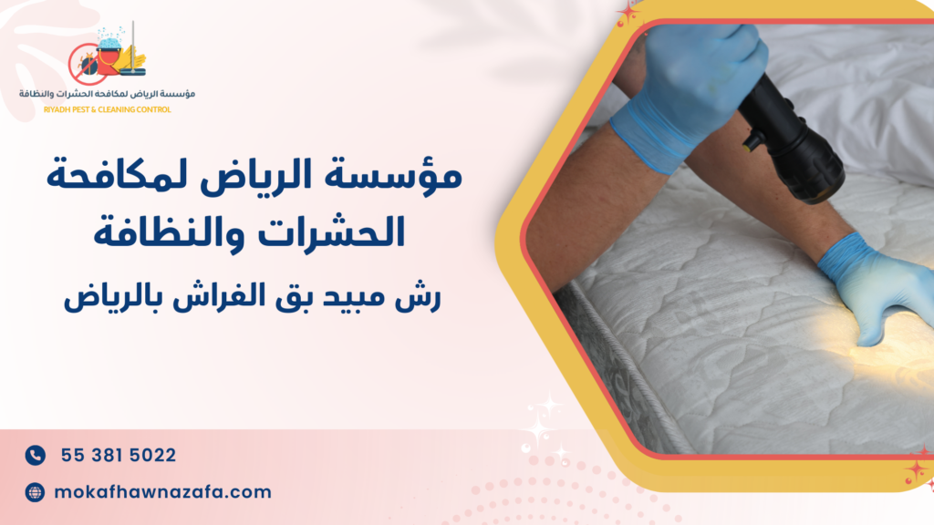 هل ظهور بق الفراش في منزلك علامة عابرة أم مؤشر على انتشار فعلي داخل الغرفة