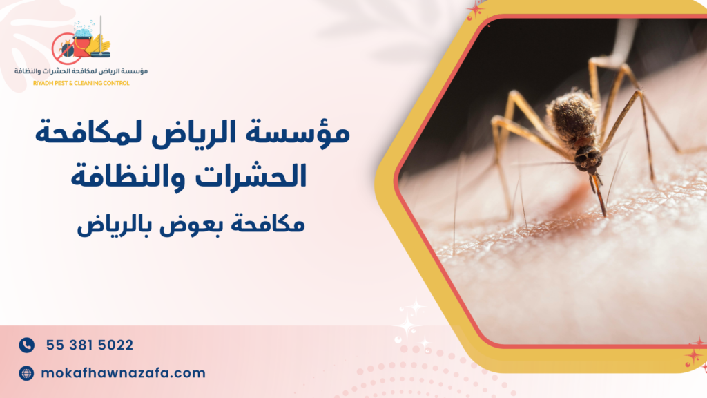 ما الخيارات المتاحة لمكافحة بعوض بالرياض وما الفروق العملية بينها