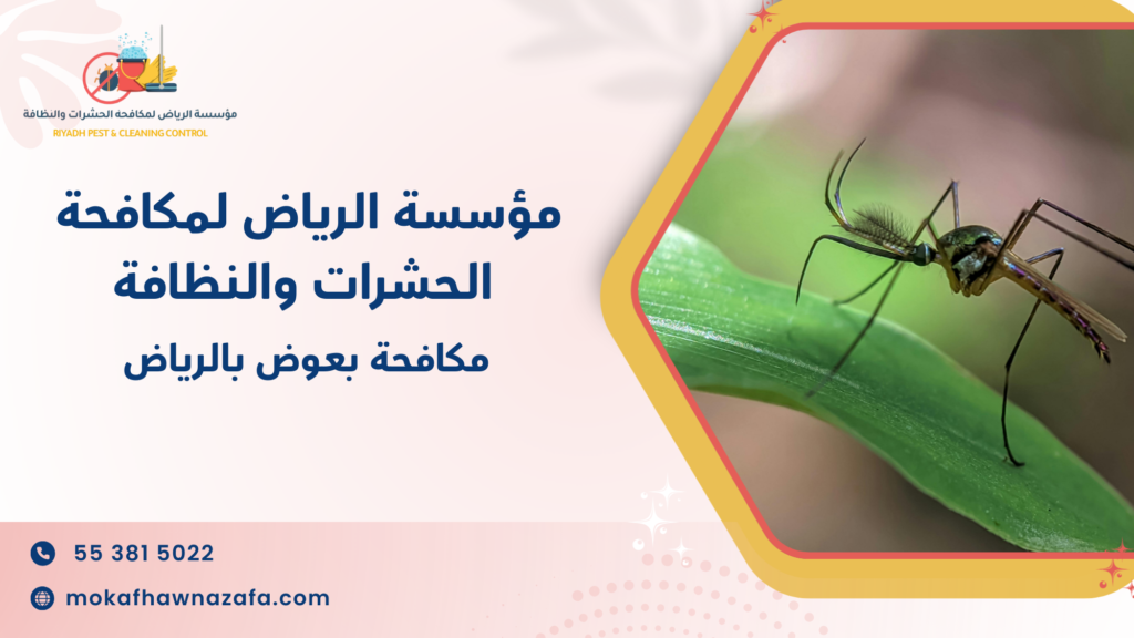 كيف تختار الحل المناسب لحالة منزلك الواقعية