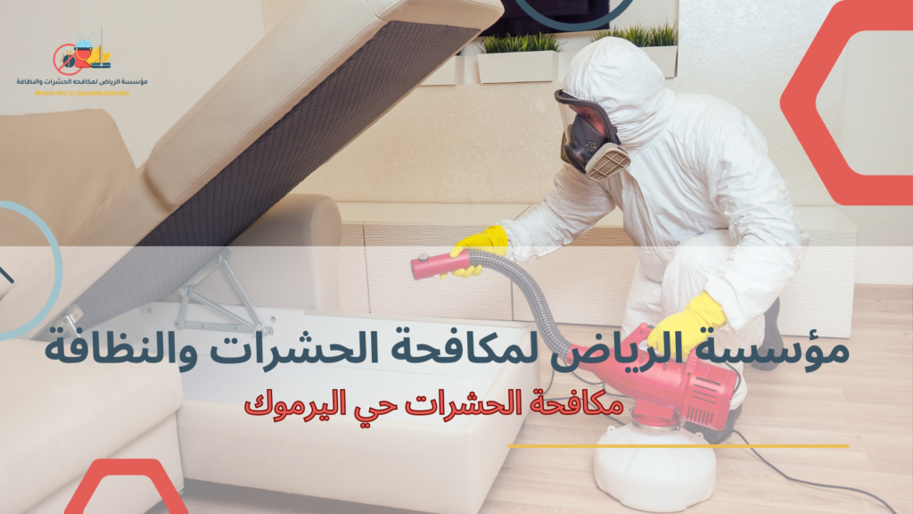 لماذا الاستعانة بجهة محترفة أفضل