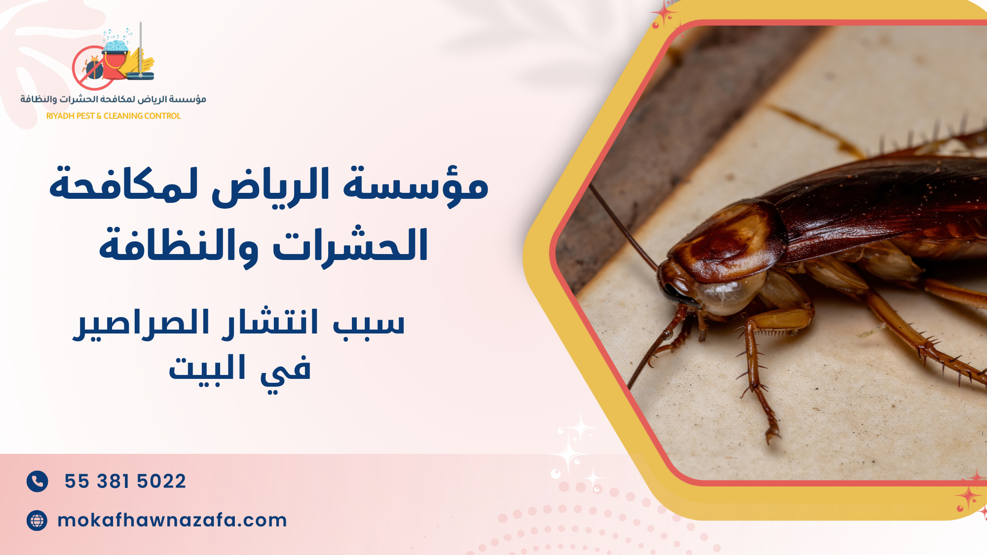 سبب انتشار الصراصير في البيت