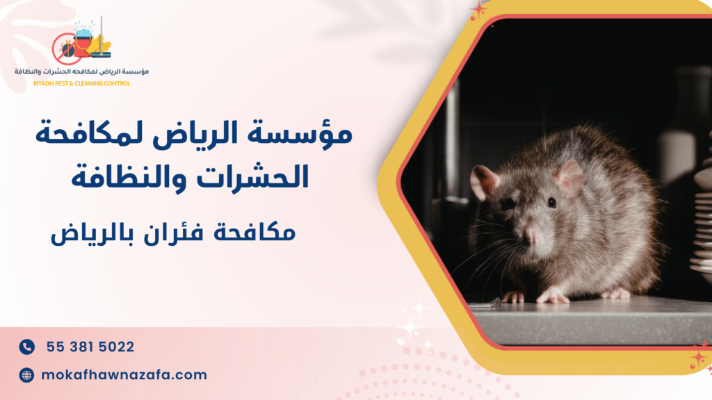 أفضل خدمات مكافحة فئران بالرياض لحماية المنزل والمكتب بشكل فعال