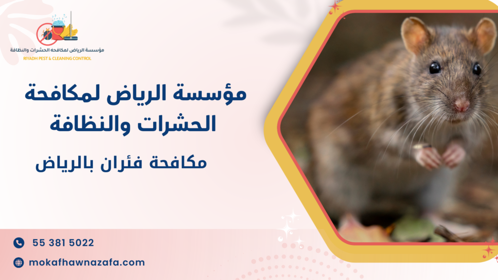 سيناريوهات استخدام حقيقية