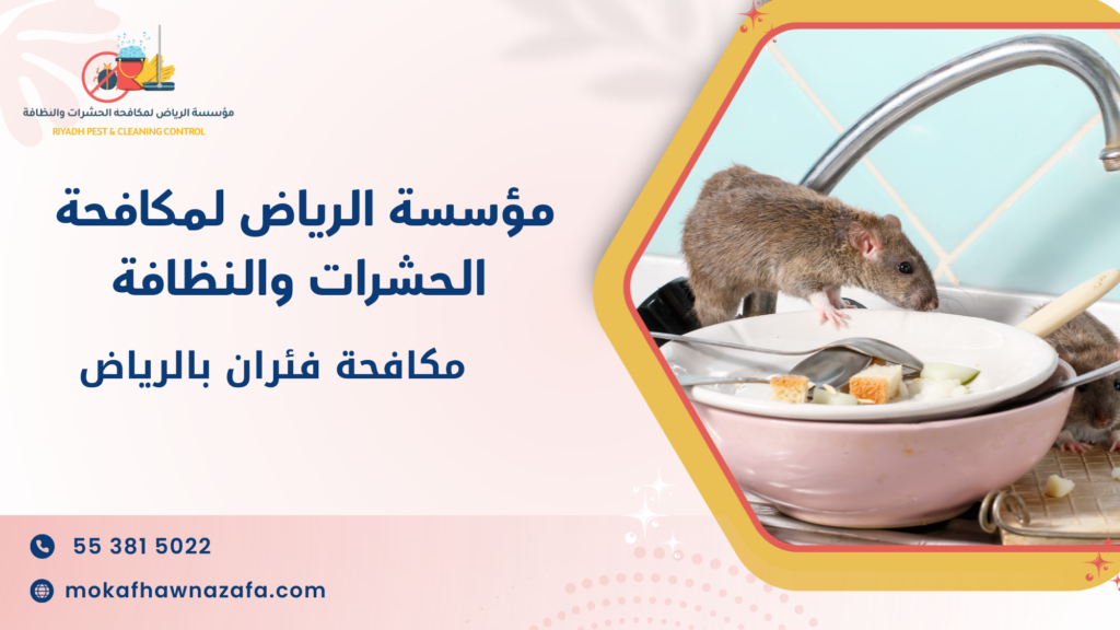 نصائح عملية قبل وبعد التنفيذ