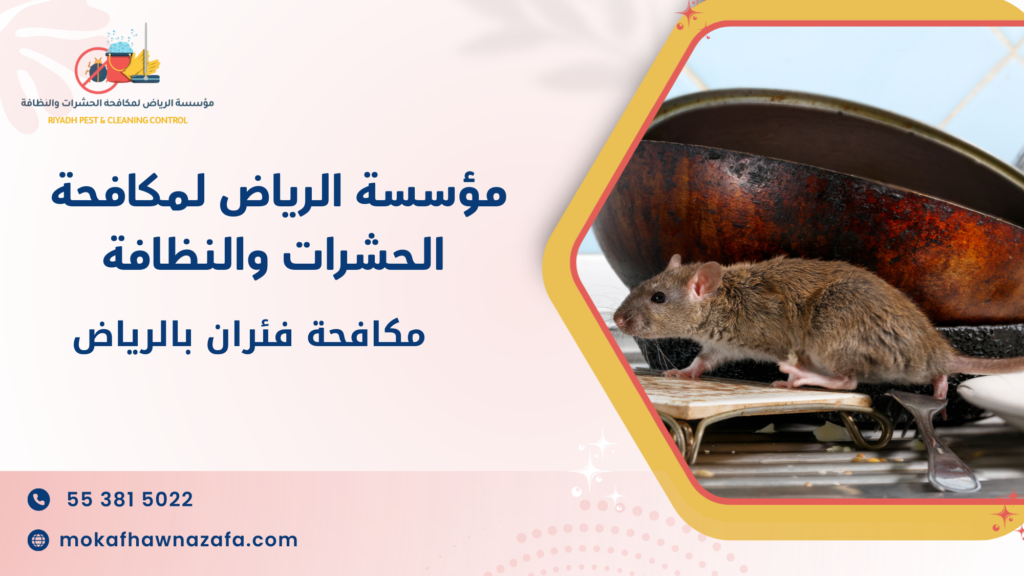 نصائح عملية قبل وبعد التنفيذ