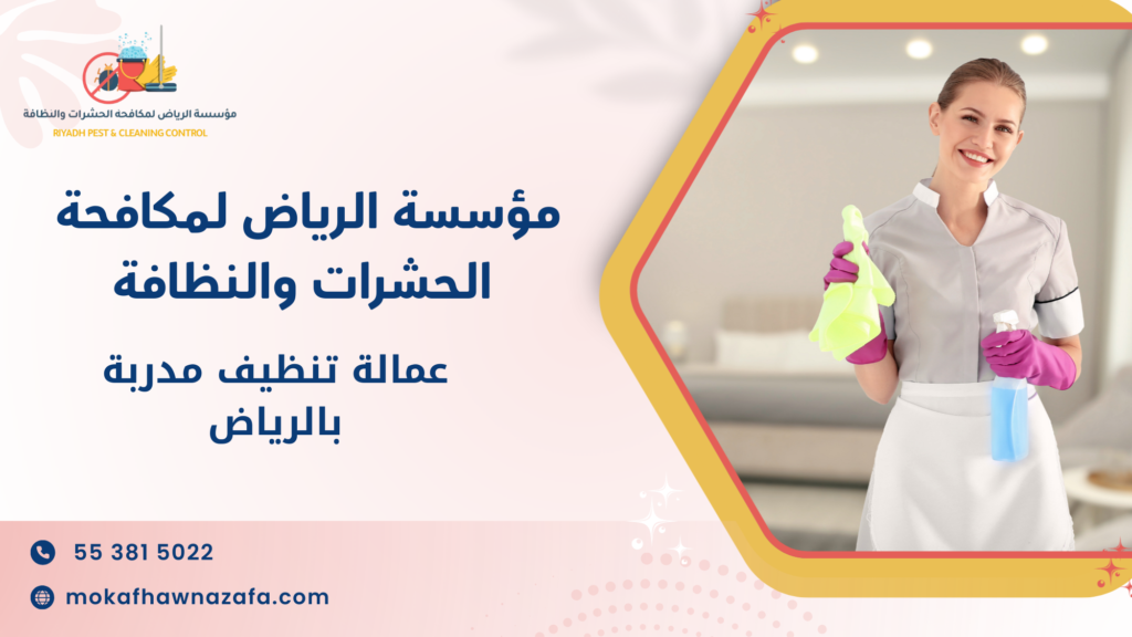 الفرق بين الحل المؤقت والحل الاحترافي