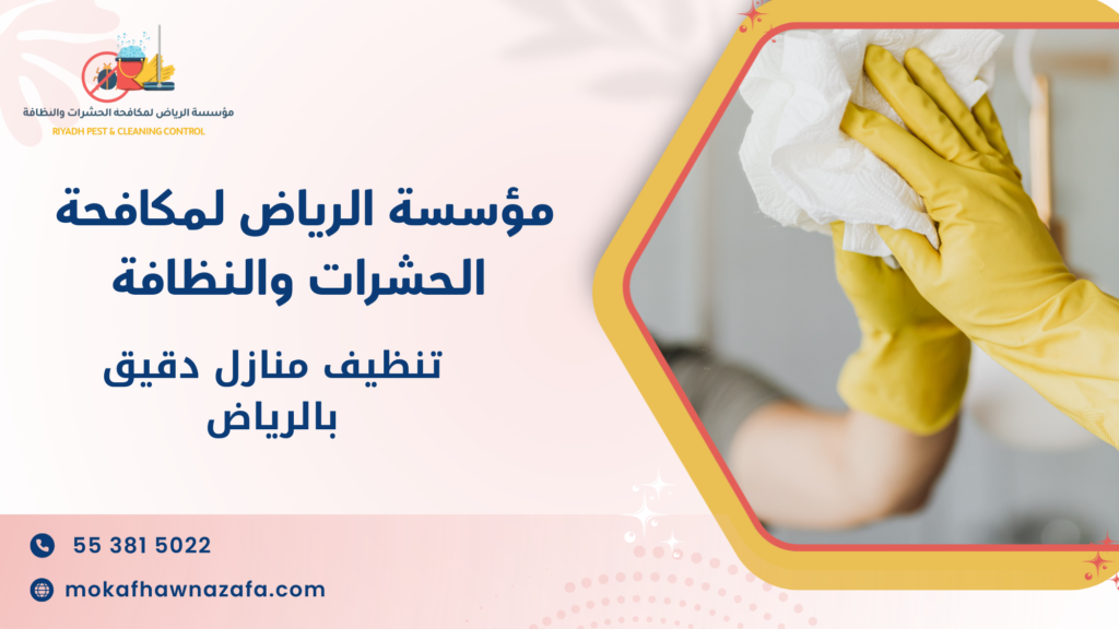 سيناريوهات استخدام تنظيف منازل دقيق