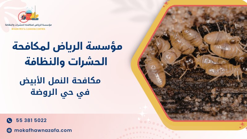 مكافحة النمل الأبيض في حي الروضة