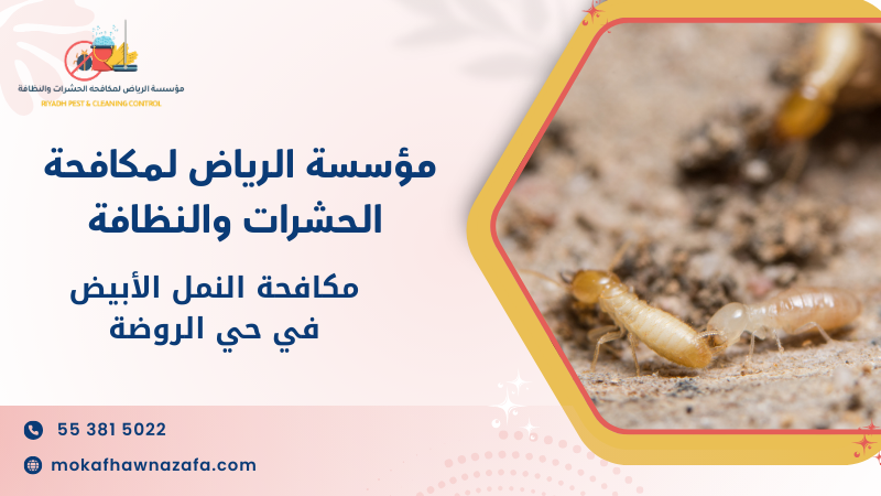 مكافحة النمل الأبيض في حي الروضة