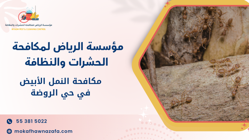 الأخطاء الشائعة