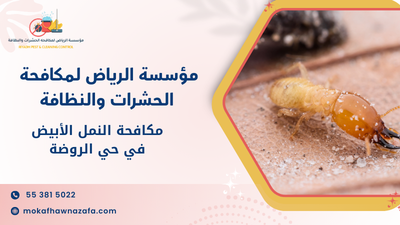 سيناريوهات استخدام حقيقية لمكافحة النمل الأبيض