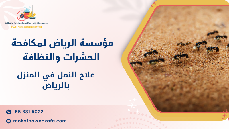 سيناريوهات استخدام حقيقية