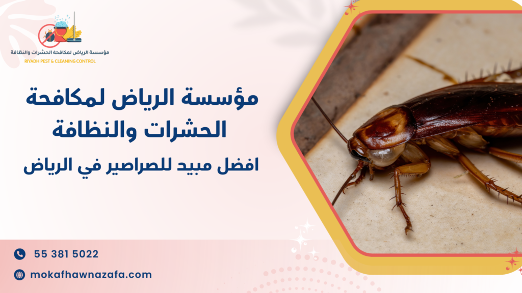 لماذا الاستعانة بمختص أفضل