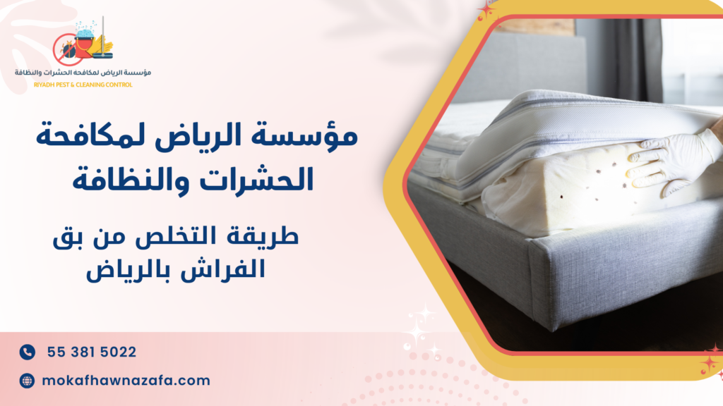 طريقة التخلص من بق الفراش بالرياض