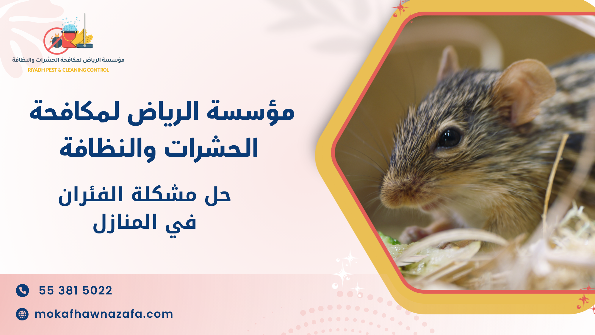 حل مشكلة الفئران في المنازل