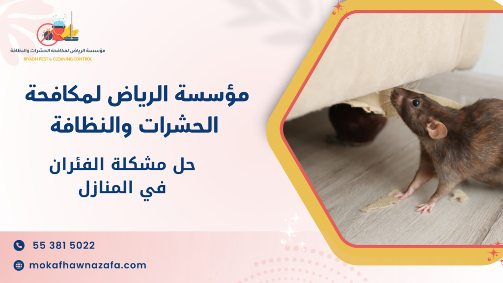 الأخطاء الشائعة وكيفية تجنبها