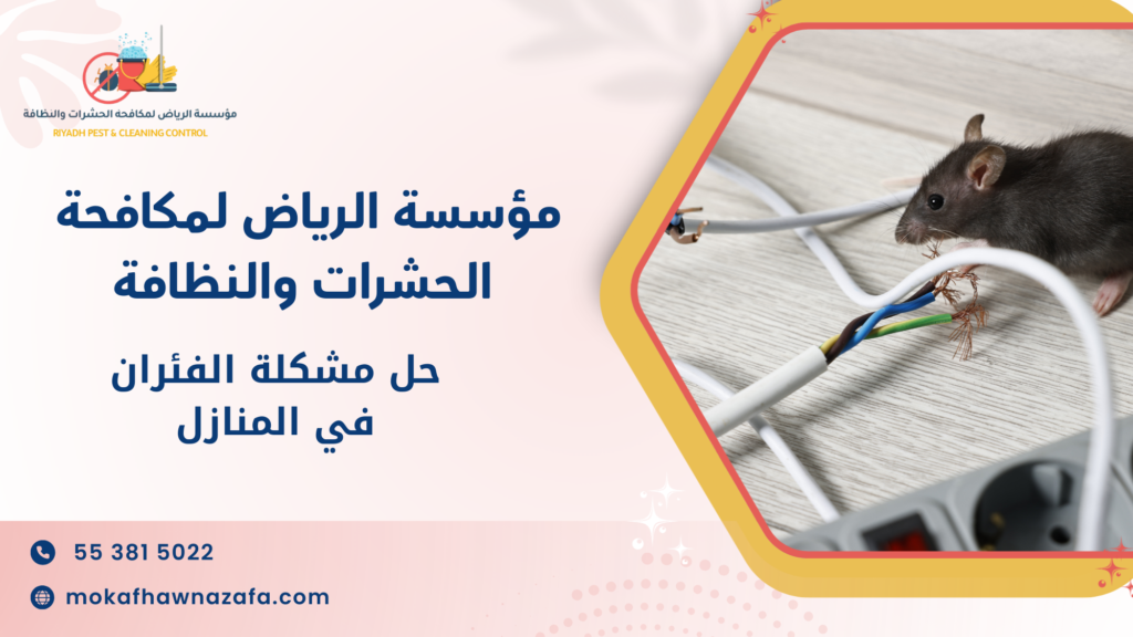 لماذا يعتبر حل مشكلة الفئران في المنازل أمرًا ضروريًا
