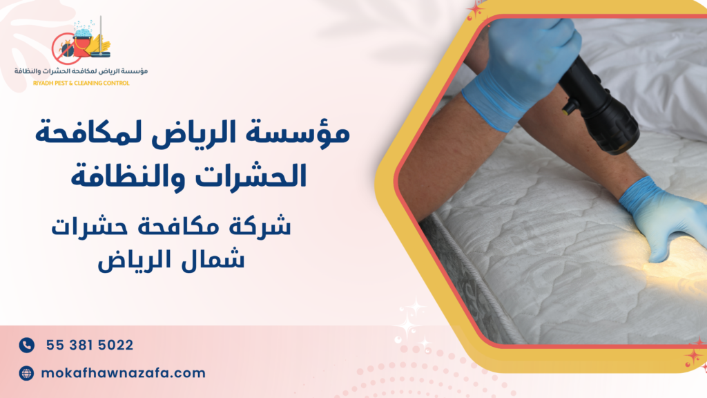 لماذا تحتاج شركة مكافحة حشرات شمال الرياض