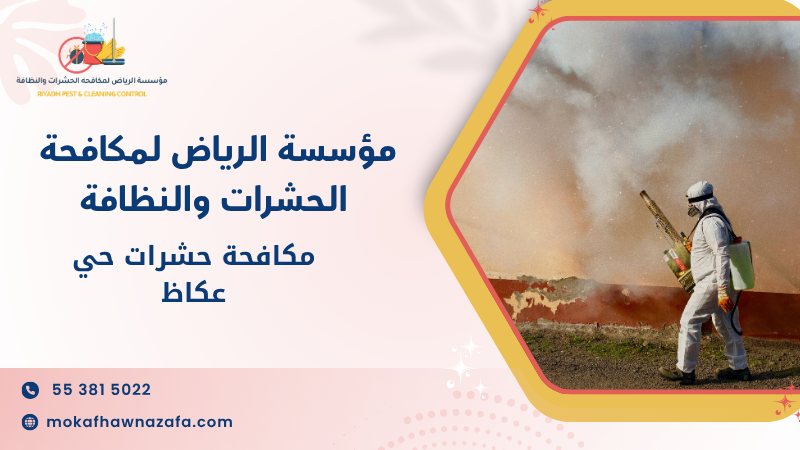 مكافحة حشرات حي عكاظ