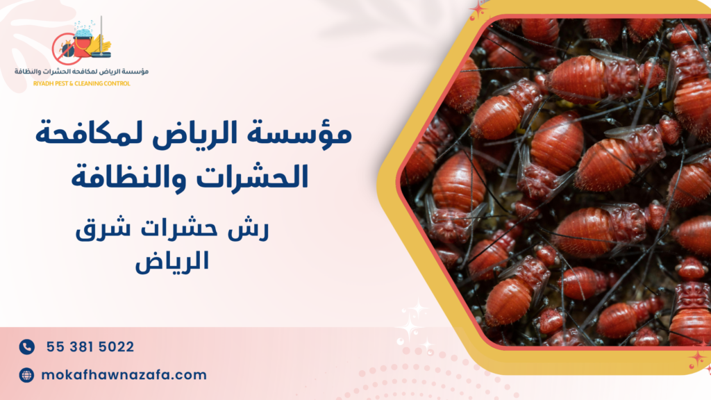 أفضل المبيدات المستخدمة