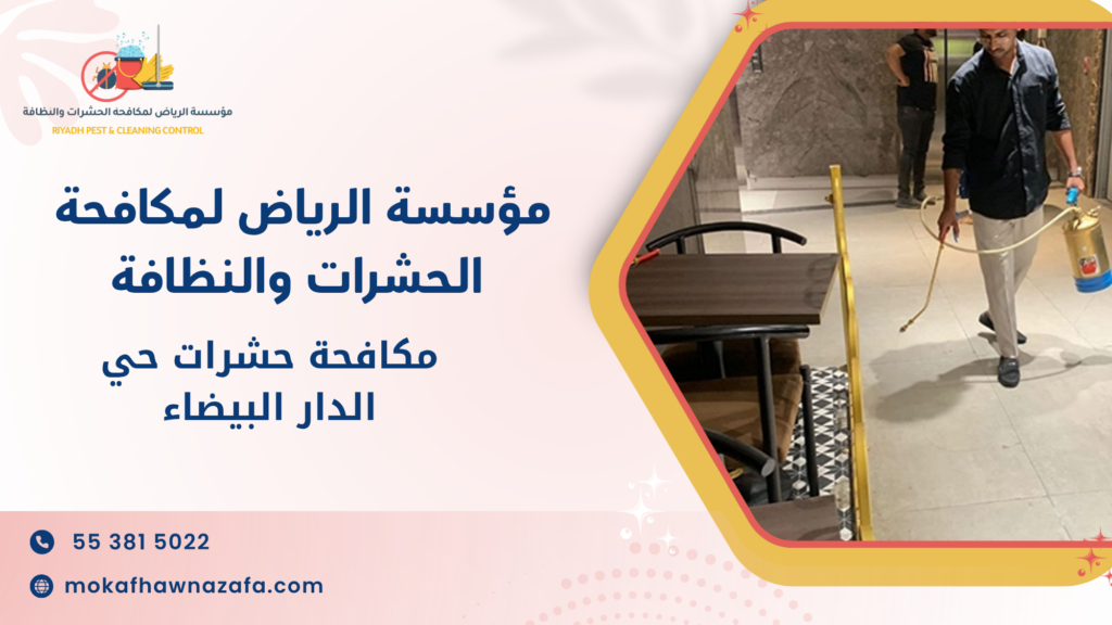 كيف تختار أفضل شركة