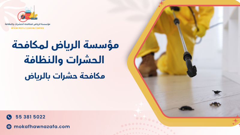 مكافحة حشرات بالرياض